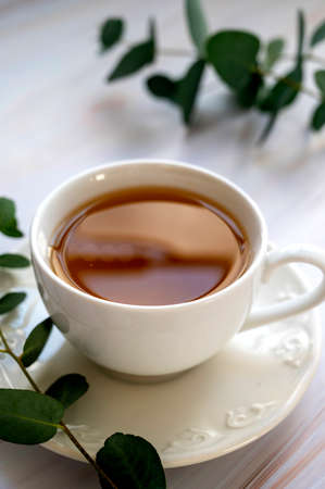 Cup of tea, herabal natural tea. Morning warm tea with eucalyptus