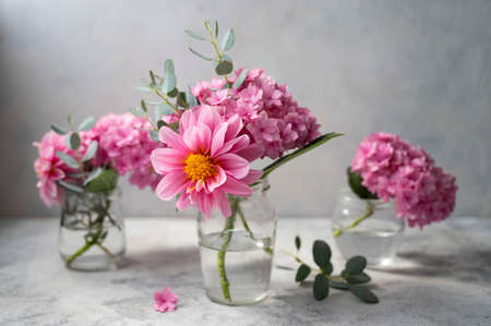 Still life pink flowers scene. Pink hydrangea flowers and dahlias in glass vase on neutral background soft, selective focusの写真素材