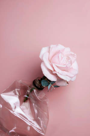 Save planet and plastic free concept. Empty used plastic bottle with a pink fresh rose flower on pink background, flatlayの写真素材