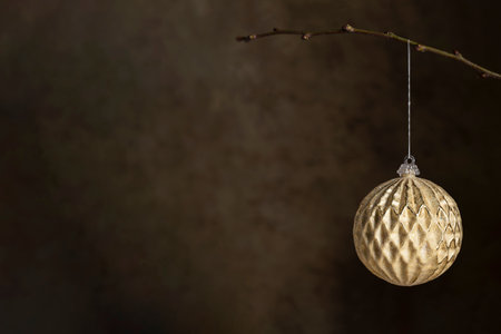 Golden Christmas ornament bauble sparkling decorative ball hanging, dark, moody background, copy spaceの写真素材