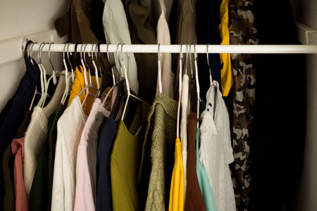 Women clothing on hanger in a real built-in wall cabinetの写真素材