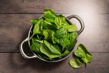 Fresh spinach green leaves close up. Healthy food. Salad leavesの写真素材