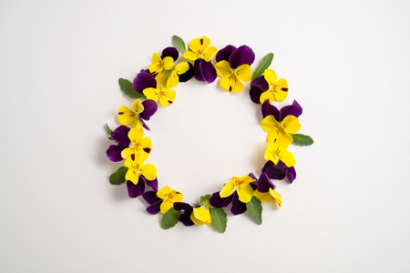 Spring flowers, purple, and yellow pansy flowers circle shape on white backgroundの写真素材