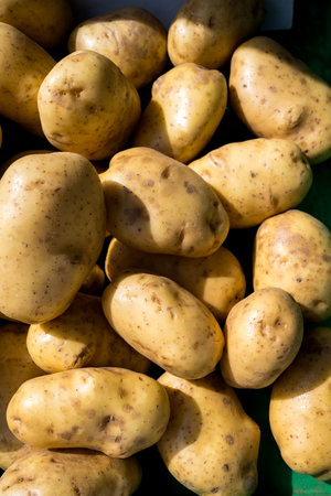 Raw potatoes displayed at an outdoor farm marketの写真素材