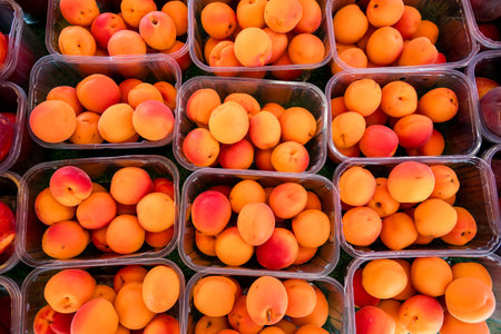 Fresh apricots summer fruits in plastic trays, outdoor marketの写真素材