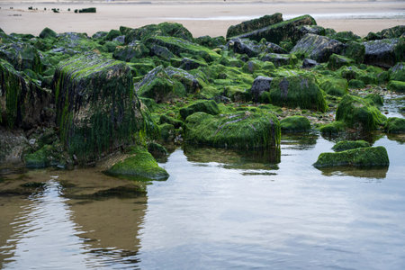 Noses point beach and cliffs view . English Channel coast of northern England.
