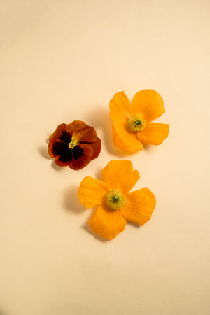 Set of spring garden flowers, yellow, orange flower composition