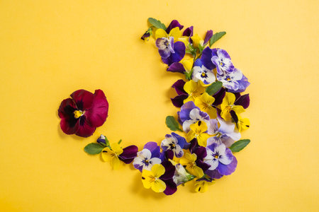 Spring garden flowers, purple, yellow, orange flower compositionの写真素材