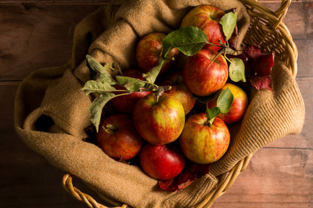 Freshly picked red apples in a basket, rustic wooden background
