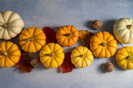 Autumn pumpkins squashes and leaves. Thanksgiving day or Halloween. Autumn backgroundの写真素材