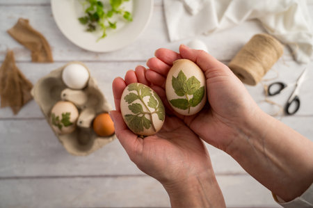 DIY Easter eggs with natural leaves, creating patterns on eggs using plants.の写真素材