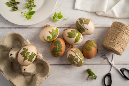 DIY Easter eggs with natural leaves, creating patterns on eggs using plants.の写真素材