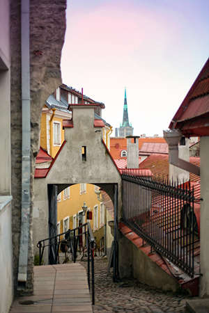 View of the roof of the old town, Tallinn, Estonia
