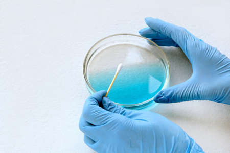 chemist at blue glowes at laboratory. testing with glass plate, blue liquid and sampler on his...