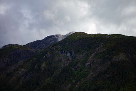 Fog in the Norwegian mountain forestsの写真素材