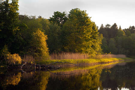 Estonian nature on river named Pirita. Evening orange sunset over river at summer time. Landscape with fallen tree and grass near the river.の写真素材