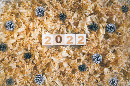 wooden numbers 2022 cubes symbolizng Christmas or new year celebration. pine cones and shavingsの写真素材