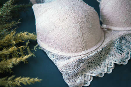 pink bra lace. Womens lingerie close up on black background near pampas grass. fashionable underwear