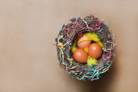 beige easter eggs in nest on brown background with copy space. flat lay with feather