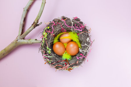 easter eggs in nest on pink background with branch. colourful flat lay with feathers