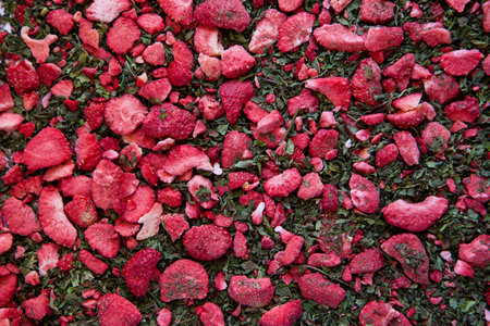 dried tea with mint and strawberries. Texture. dry herbal tea with peppermint, strawberry slicesの写真素材