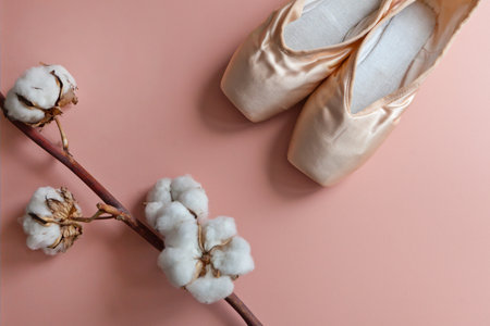 pink ballet slippers lying near cotton Branch with soft fluffy cotton flowers. flat lay raw materialの写真素材