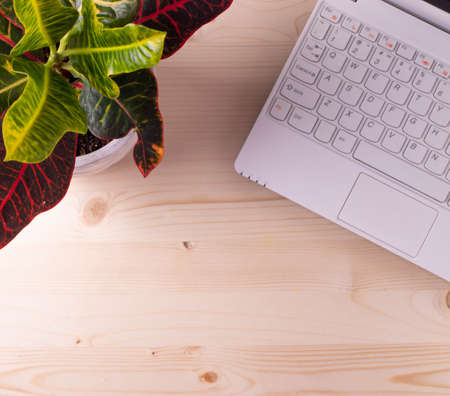 a piece of white keyboard on wooden desk as educational or working conceptの写真素材