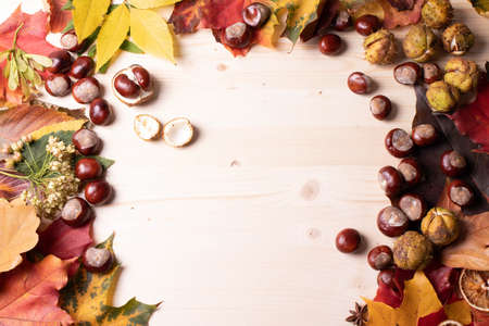 autumn leaves conceptの写真素材