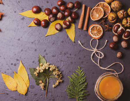 autumn leaves concept on darkの写真素材