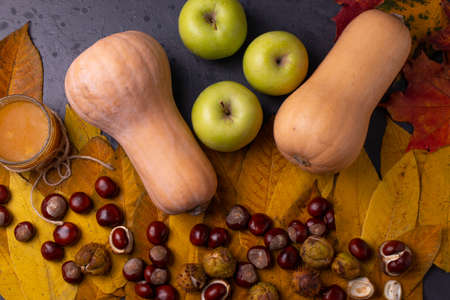 autumn seasonal harvest and chestnuts on the yellow leaves and dark stone surfaceの写真素材