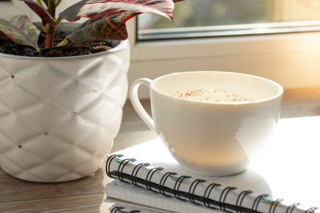 an empty cup and natural light