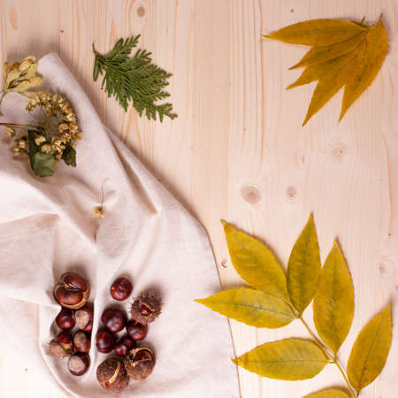autumn conceptの写真素材