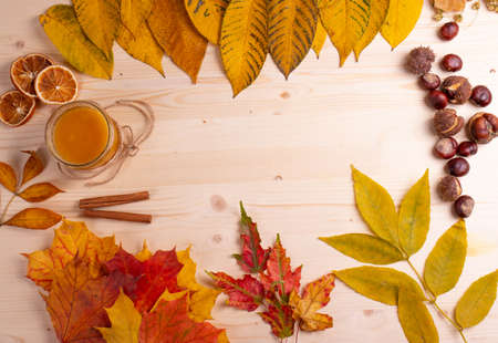 autumn concept