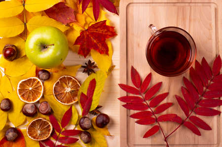 autumn leaves and tea conceptの写真素材