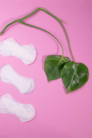 individual hygeine items for females during menstruation period