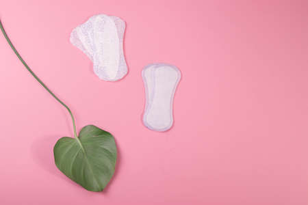 individual hygeine items for females during menstruation periodの写真素材