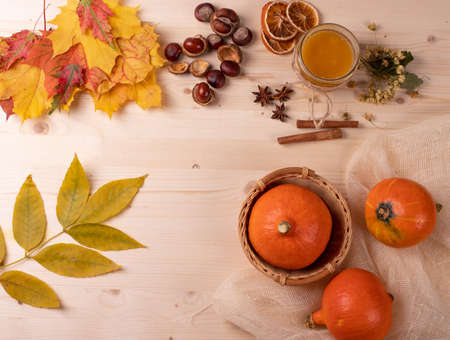autumn backgroundの写真素材