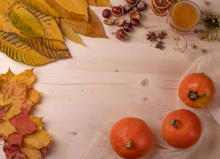 autumn background