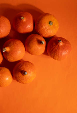 a group of orange pumpkinsの写真素材