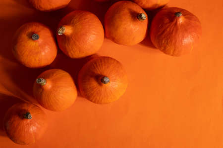 a group of orange pumpkinsの写真素材