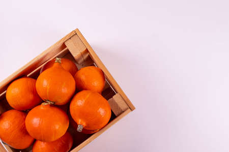 orange pumpkinsの写真素材