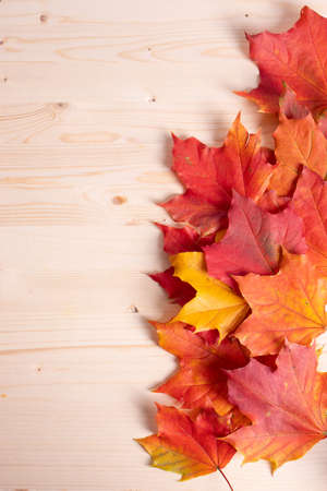 bright red and yellow leaves on wooden surfaceの写真素材