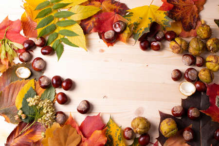 autumn leaves on the wooden surface as a autumnal decor conceptの写真素材