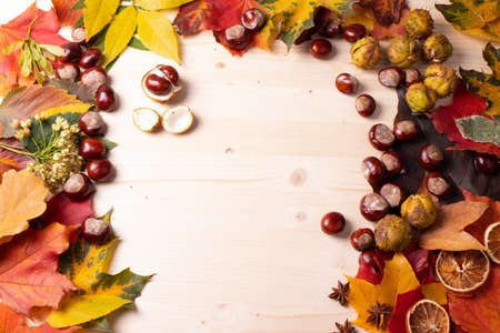 autumn leaves on the wooden surface as a autumnal decor conceptの写真素材