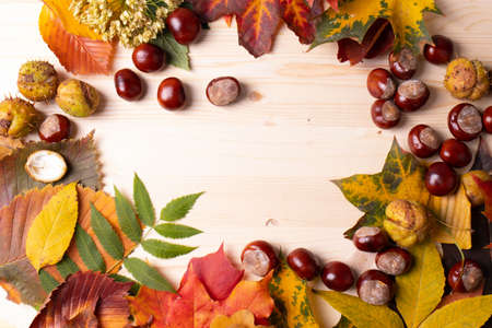 autumn leaves on the wooden surface as a autumnal decor conceptの写真素材