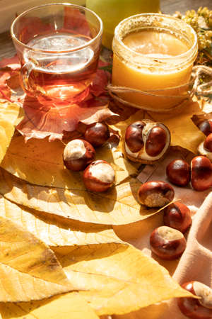 autumn conceptの写真素材