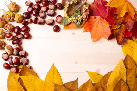 autumn concept