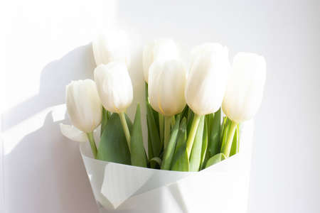 a bunch of white natural tulipsの写真素材