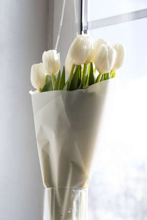 a bunch of white natural tulipsの写真素材