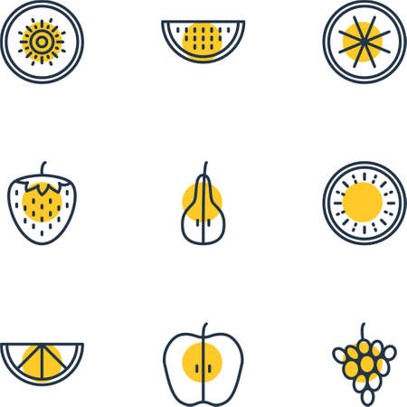 Vector Illustration Of 9 Fruits Icons. Editable Pack Of Berry, Duchess, Watermelon And Other Elements.のイラスト素材